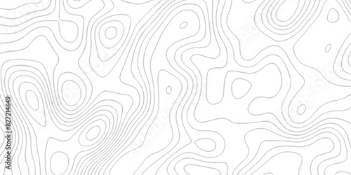 Black and white wave Seamless line. Vector geographic contour map. Topography map background. Topography relief. White wave paper curved reliefs abstract. Topographic map patterns,topography line map.