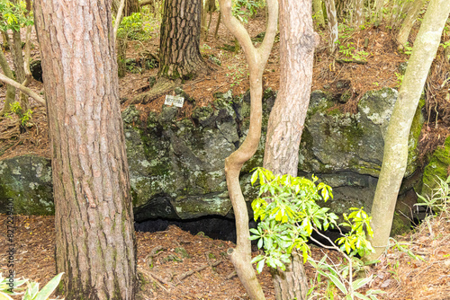 鳴沢コウモリ穴第４ photo