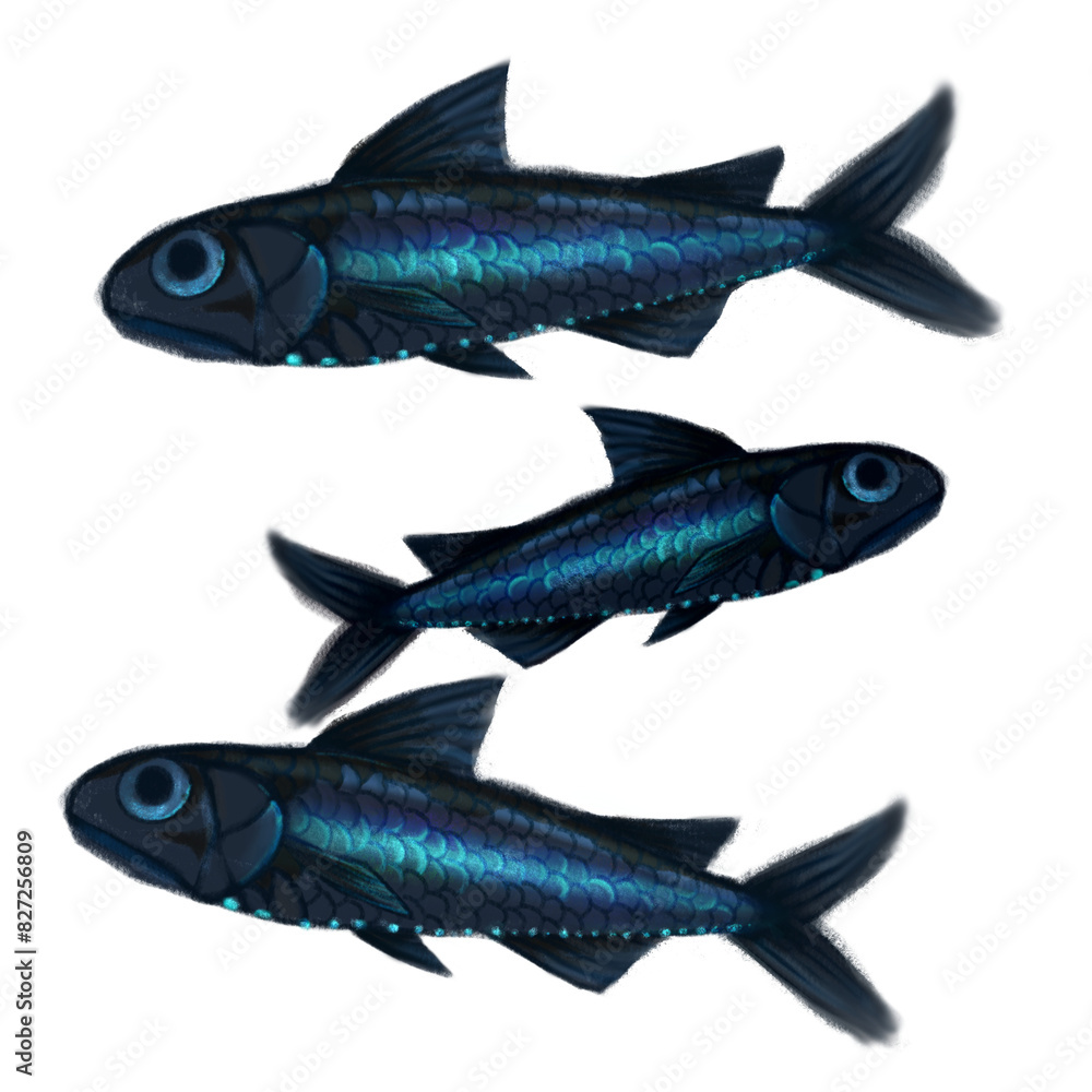 Lantern Fish Lantern Fish