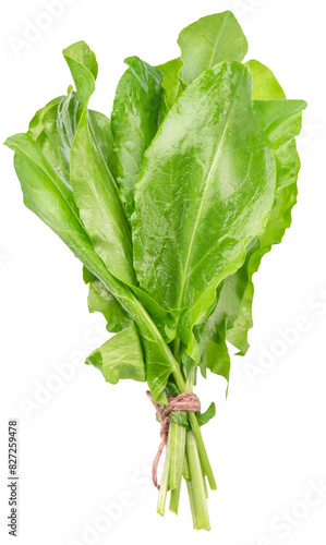 Sorrels vegetable leaves isolated on white background. File contains clipping path.