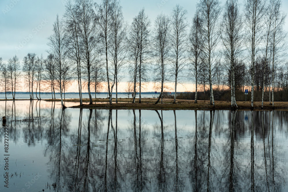 Obraz premium landscape with a flooded lake, dark silhouettes of trees in the backlight, reflections of trees in the water, spring
