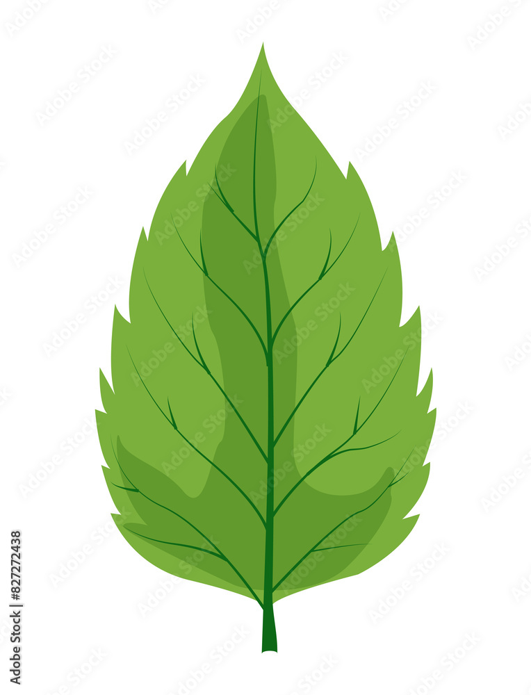 A single green leaf illustration with prominent veins and a pointed tip on a transparent background. Ideal for nature-themed designs, eco-friendly projects, and digital artwork A single green leaf illustration with prominent veins and a pointed tip on a transparent background. Ideal for nature-themed designs, eco-friendly projects, and digital artwork