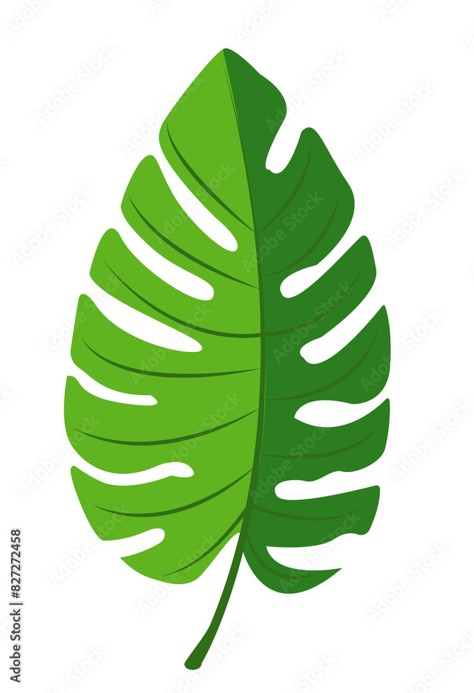 PNG image features a large, vibrant green Monstera leaf with a split design, displayed on a transparent background. Ideal for creative projects, botanical illustrations, and nature-themed designs PNG image features a large, vibrant green Monstera leaf with a split design, displayed on a transparent background. Ideal for creative projects, botanical illustrations, and nature-themed designs