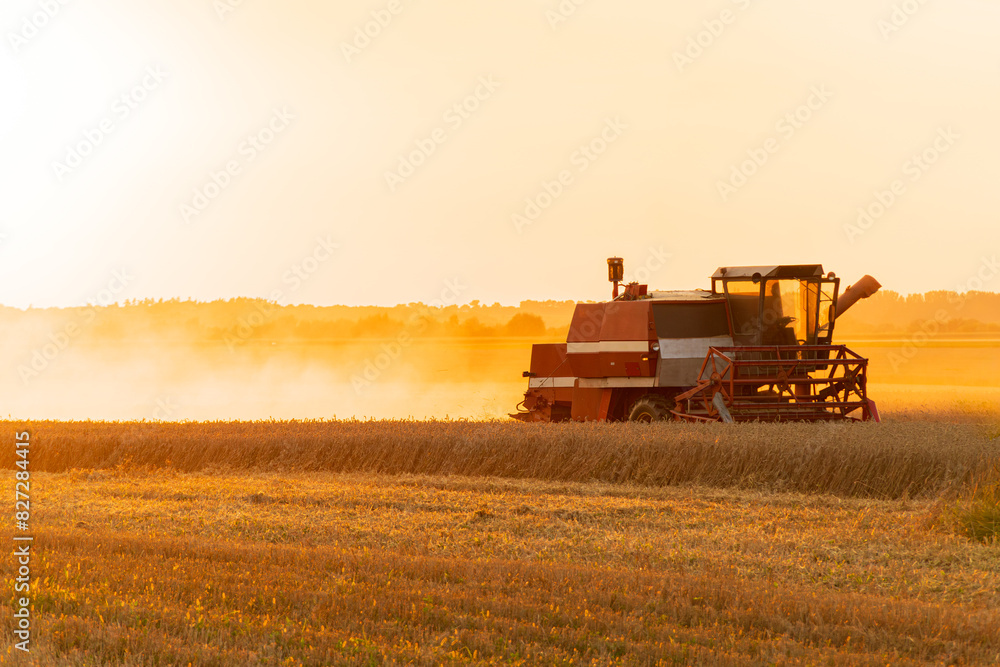Agricultural harvester harvesting in the field at sunset. Harvesting with agricultural machinery. Agribusiness