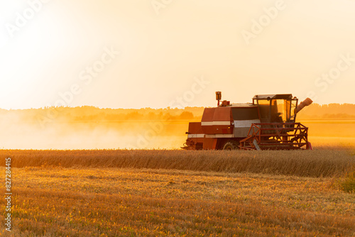 Agricultural harvester harvesting in the field at sunset. Harvesting with agricultural machinery. Agribusiness