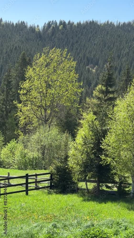 Serene Mountain Landscape for Quiet Retreat Serene Mountain Landscape for Quiet Retreat