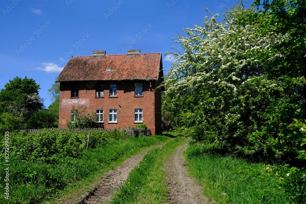 Old brick building among green trees in countryside in spring scenery