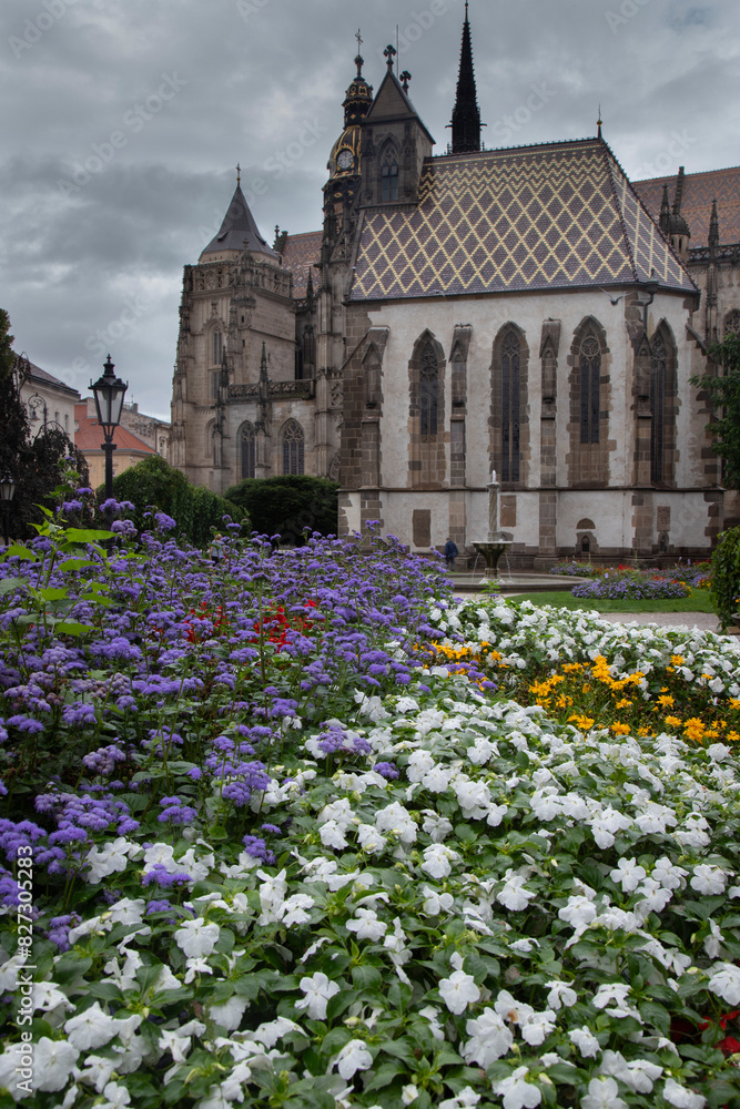 Obraz premium Historic Catholic Cathedral in Kosice, Slovakia, dedicated to Saint Elizabeth of Hungary