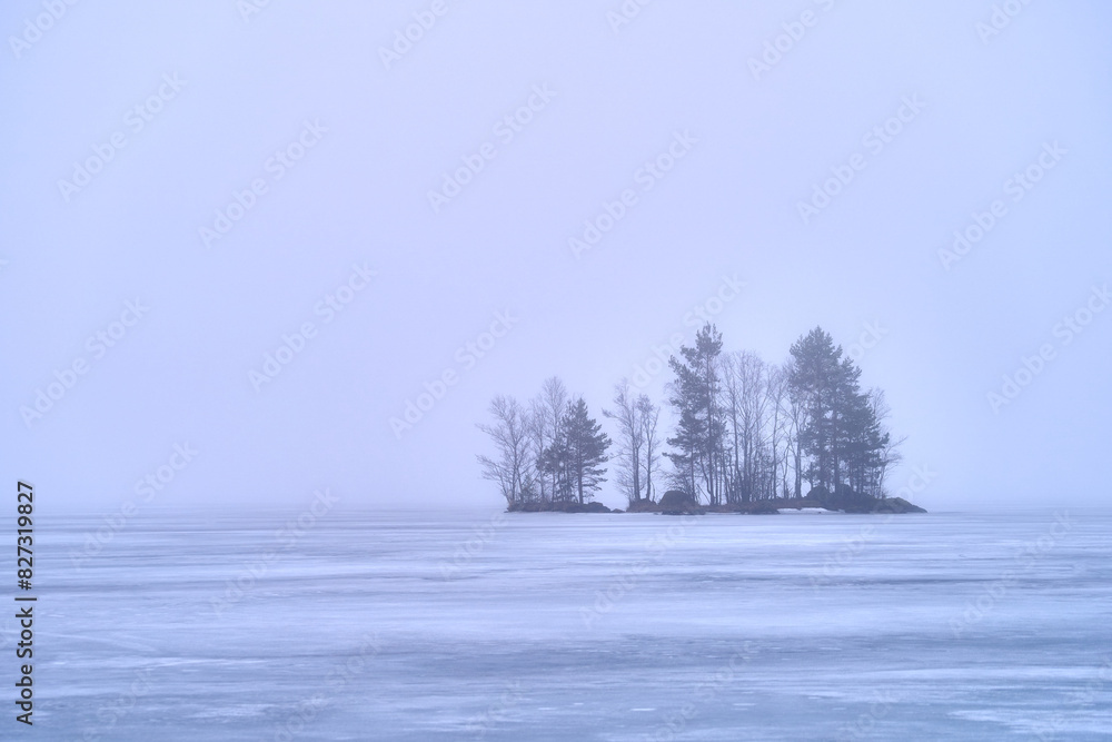 Fototapeta premium Trees on frozen water with an island in the center.