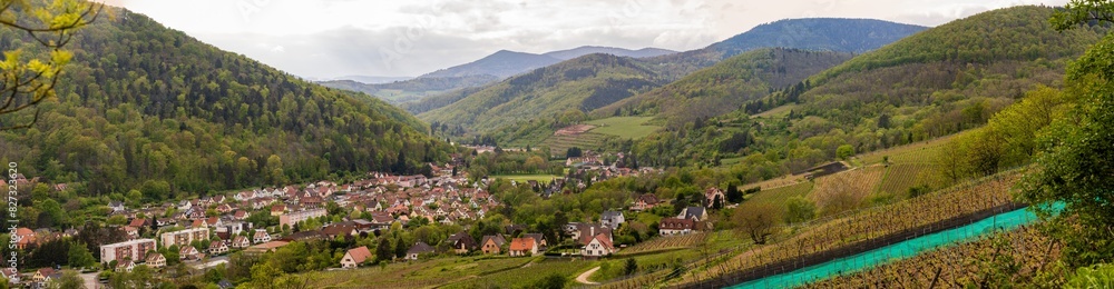 Printemps viticole : vues panoramiques dans la commune de moyenne montagne de Kaysersberg Vignoble, CeA, Alsace, Grand Est, France
