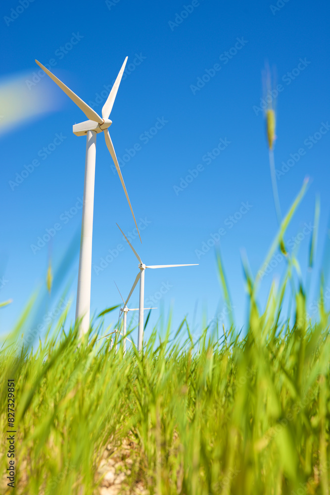 Wind turbine generators for green electricity production Wind turbine generators for green electricity production