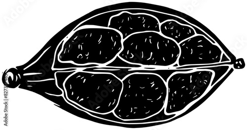 cardamom illustration food silhouette spice logo caraway icon kitchen outline ingredient natural rosemary anise cumin nutmeg ginger basil seed shape dill engraved garlic for vector graphic background