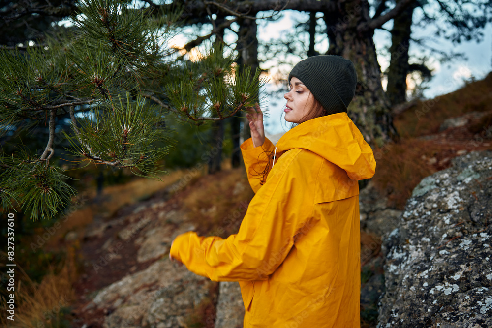 Fototapeta premium A woman in a yellow raincoat enjoying a scenic hike through a peaceful pine forest on a rocky hillside
