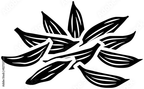 cardamom illustration food silhouette spice logo caraway icon kitchen outline ingredient natural rosemary anise cumin nutmeg ginger basil seed shape dill engraved garlic for vector graphic background