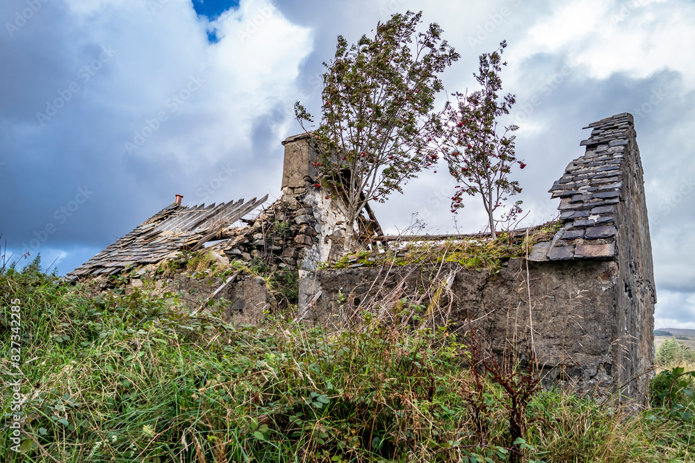 Derelict house in the forest at Letterilly by Glenties, County Donegal, Ireland Derelict house in the forest at Letterilly by Glenties, County Donegal, Ireland