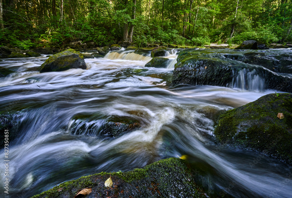 Obraz premium Scenic ivew of a river flowing through a lush forest with trees and rocks