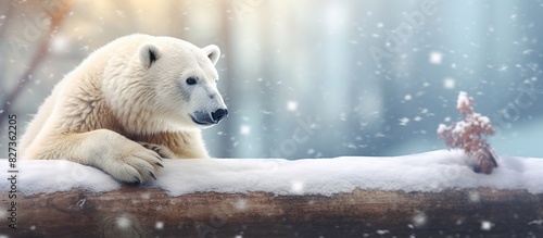 olar bear on snow in arctic forest.