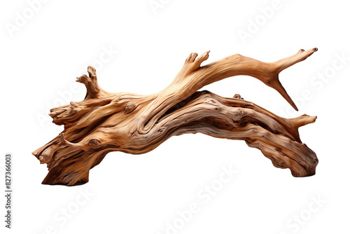 Driftwood Sculptures isolated on transparent background. © 121icons