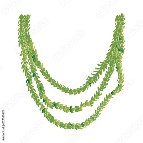 Hawaiian Puakenikeni flower doddle vector illustration