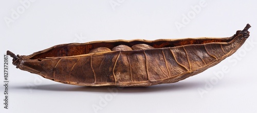 Dried Native American Corn Cob Artifact with Intricate Design