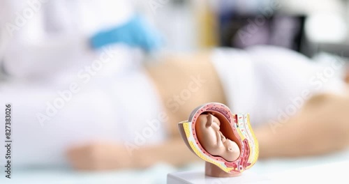 Ultrasound operator scans belly of young pregnant woman with ultrasound probe and performing obstetric ultrasound. Ultrasound fetus baby concept photo