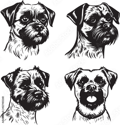 Border Terrier Dog Vector Art