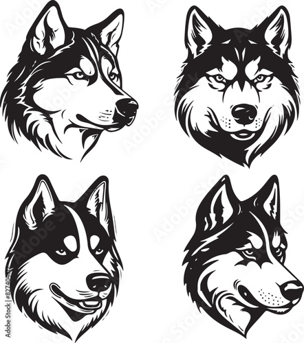 Siberian Husky Vecror Set