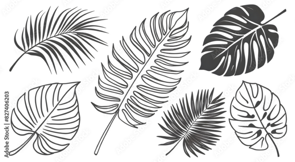 Diverse Vector Collection of Tropical Leaves: Unique Botanical Illustrations
