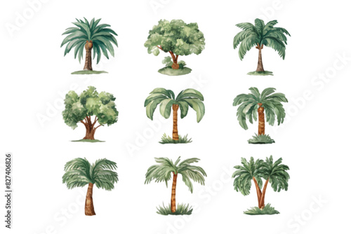 Set of Nine Watercolor Palm Trees  Tropical Botanical Illustrations  Vector Nature Palm Tree Designs