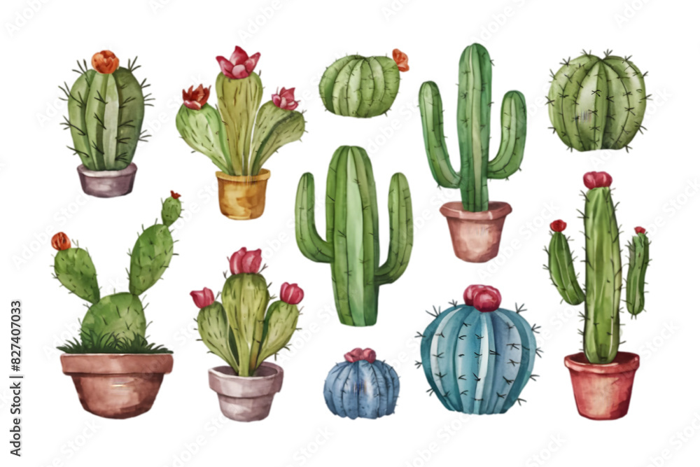 Set of vector Cactus Plants in Flower Pots: Diverse Shapes and Sizes for Interior Decor and Botanical Illustrations Set of vector Cactus Plants in Flower Pots: Diverse Shapes and Sizes for Interior Decor and Botanical Illustrations