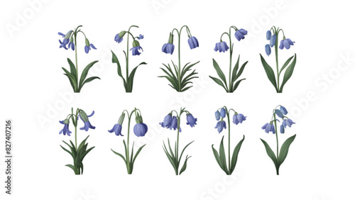Bluebell Vector Flower Collection: Delicate Watercolor Vector Illustrations For Spring & Botanical Theme Projects, Isolated on Transparent Background