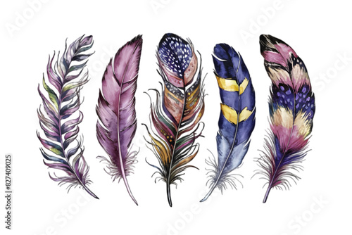 Vector Set Of Colorful Boho Feathers - Watercolor Style: Detailed Feather Vector Illustrations with Transparent Background