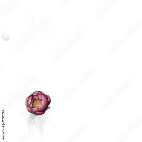 ai-generated item, rare, odd, high, 119 30. peony wallpaper_ elegant and timeless wallpaper designs featuring peony flowers in vario photo