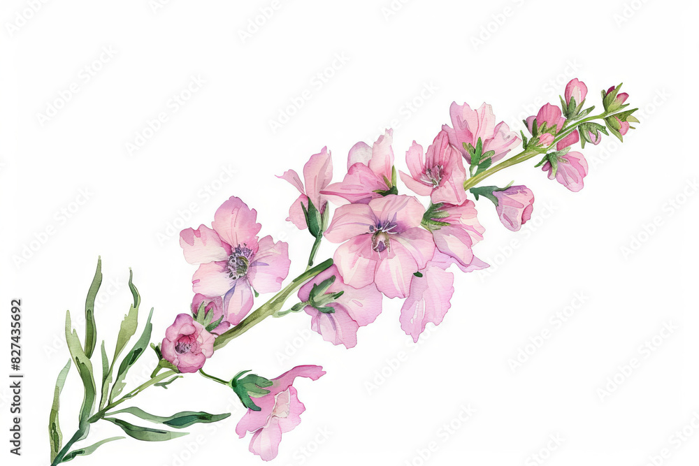 Obraz premium painting watercolor flower background illustration floral nature. pink flower background for greeting cards weddings or birthdays. Copy space