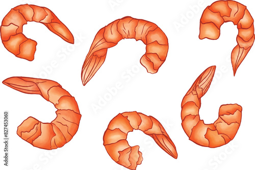 the shrimps