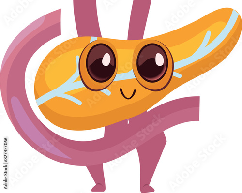 This is a cartoon of the pancreas.