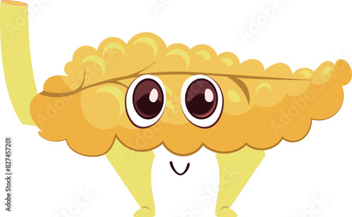This is the pancreas.