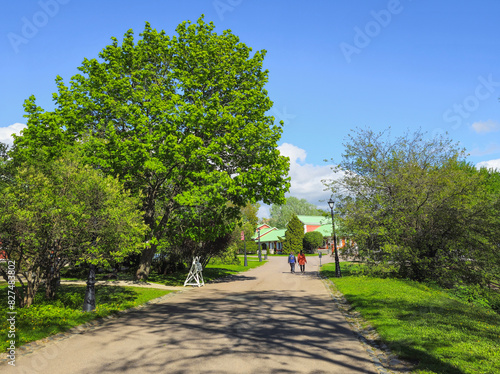 Summer park scenery of Tsaritsyno Park in Moscow, Russia.