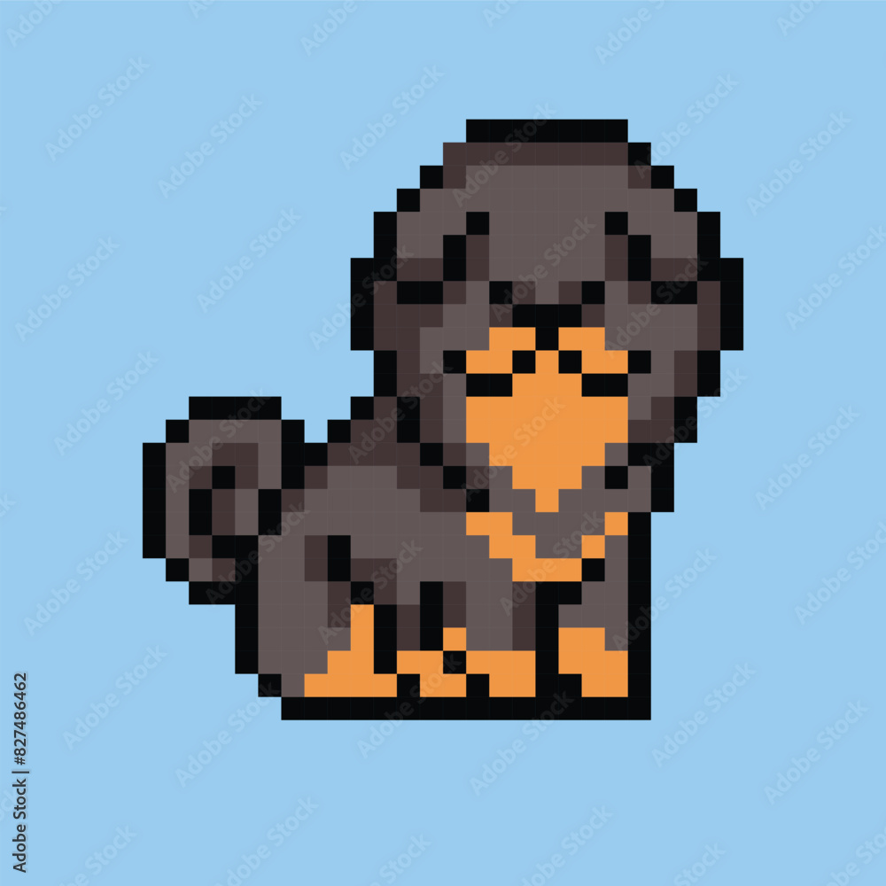 Tibetan mastiff pets pixel art illustrations vector Tibetan mastiff pets pixel art illustrations vector