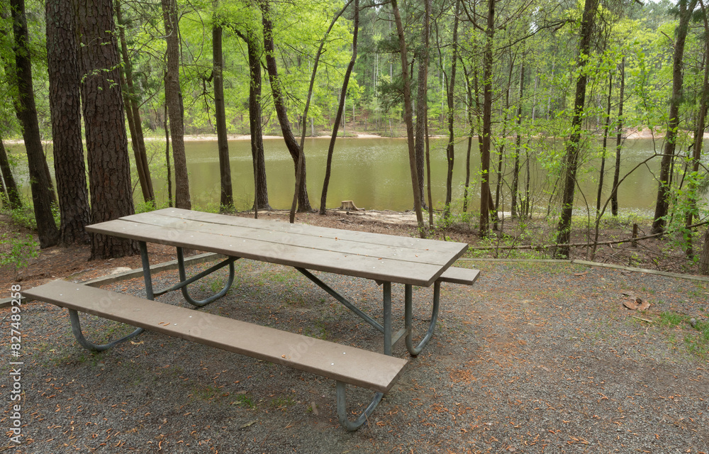 Relaxing view from an empty picnic bench next to a lake in North Carolina. Relaxing view from an empty picnic bench next to a lake in North Carolina.