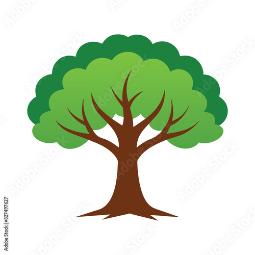 Ash tree isolated flat vector illustration.