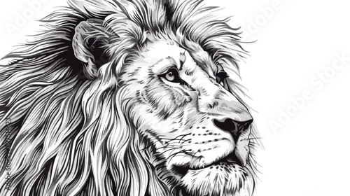 Hand drawn portrait of lion. Blackandwhite sketch. photo
