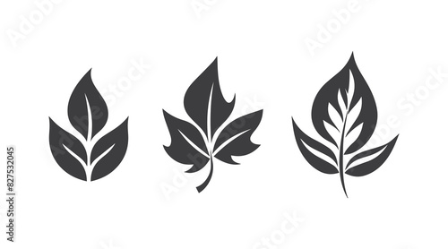 Set of leaf vector illustration