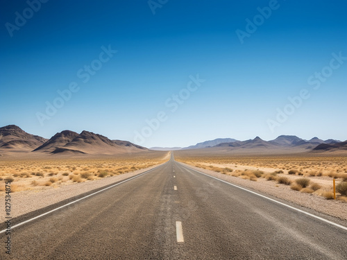 Straight path cuts through Namibian savanna