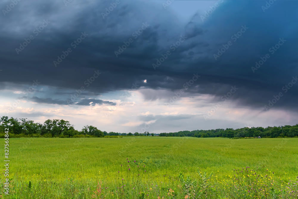 Obraz premium Thick thunderclouds over a wheat field landscape
