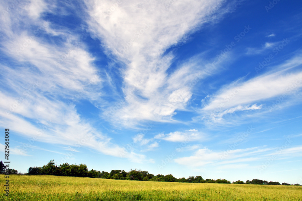 Fototapeta premium Clouds in Bright Blue Sky