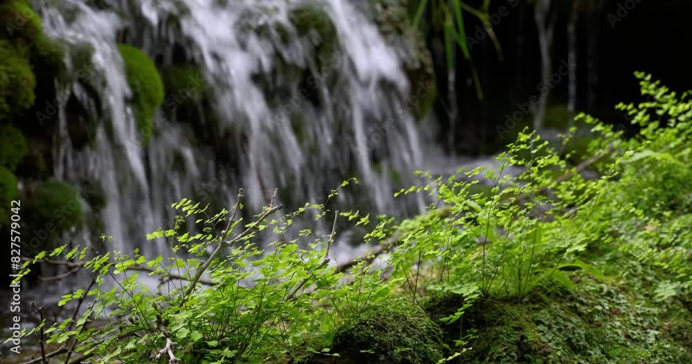 beautiful waterfall in the nature beautiful waterfall in the nature