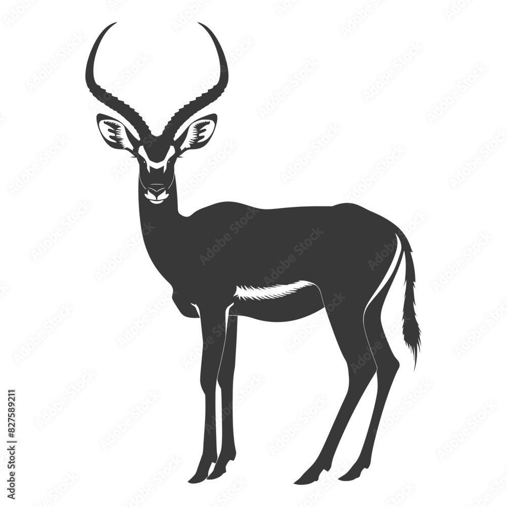 Silhouette impala animal full body black color only Silhouette impala animal full body black color only
