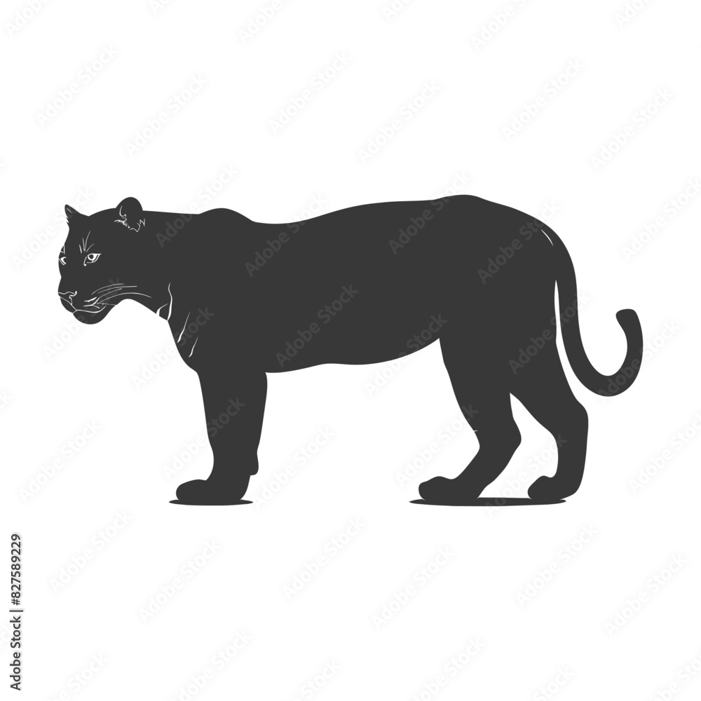 Silhouette jaguar animal full body black color only