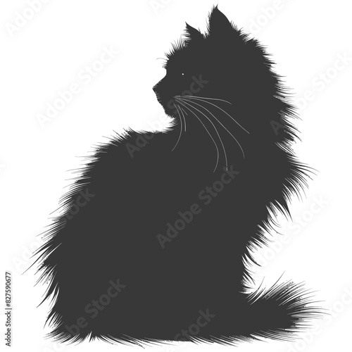 Silhouette long hair cat animal full body black color only